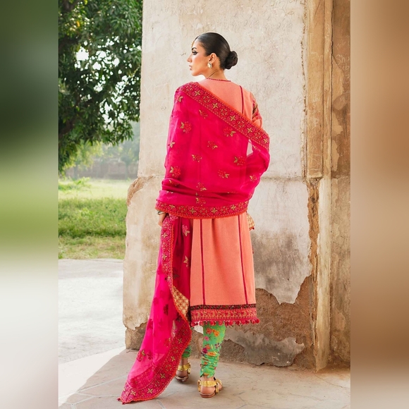 TULIP - Hussain Rehar Karandi 3 Piece Suit With Straight Pants- Medium - Picture 6 of 12